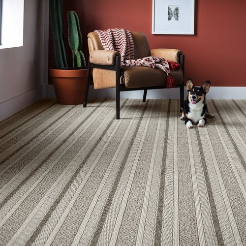 dog laying on carpet next to chair