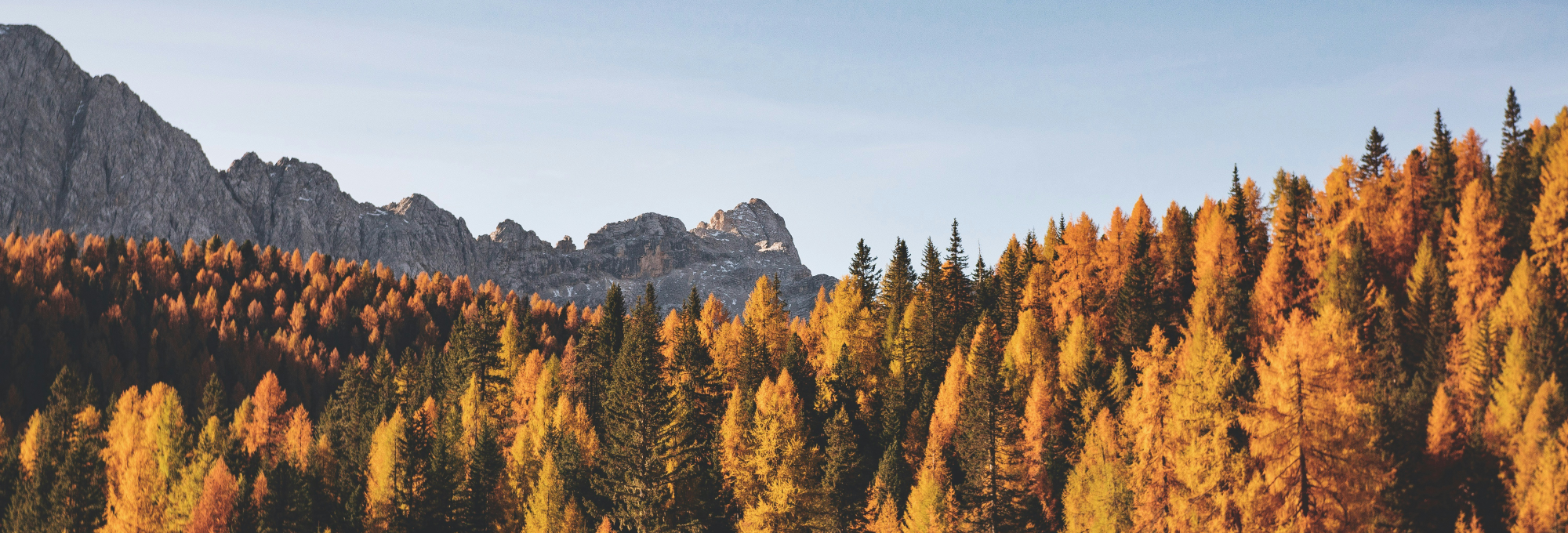 Fall-Hero-Banner-2025-2000x680