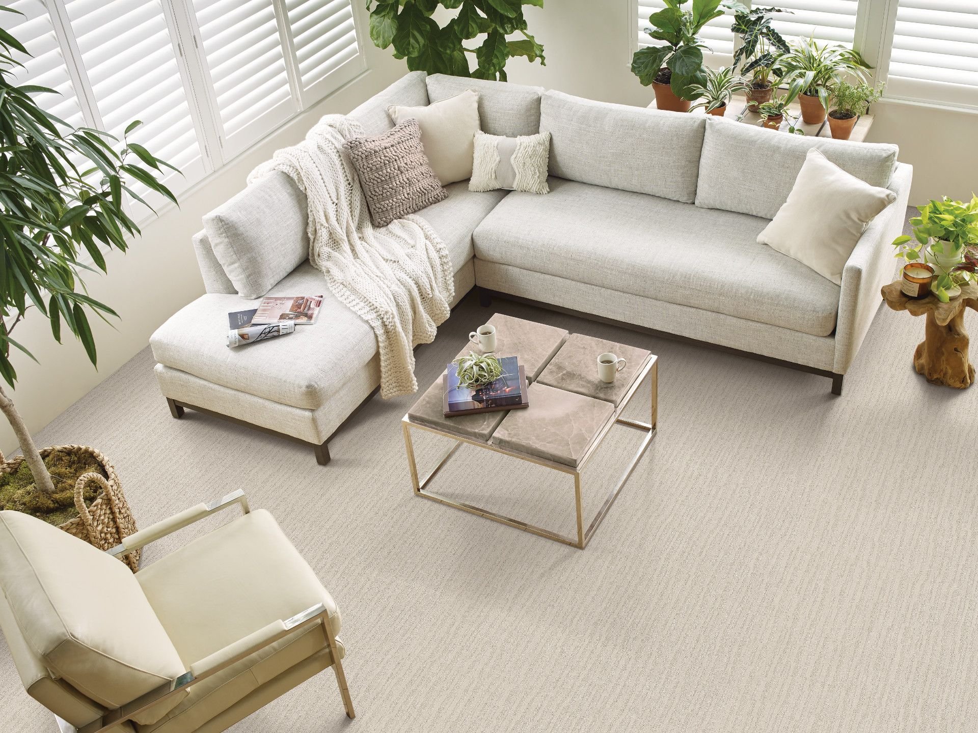 large living room with white couch on carpet